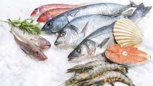 Diferentes pescados azules y blancos sobre el hielo