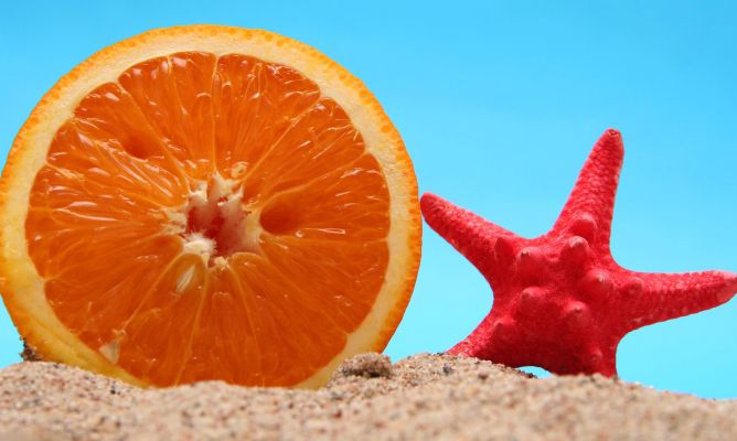 Narnaja y estrella de mar sobre la arena de la playa
